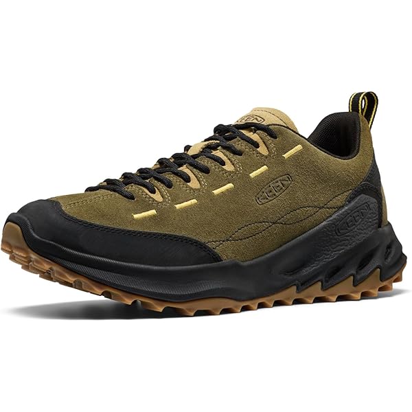 Amazon.com | KEEN Men's Nxis Evo WaterproofHiking Shoe, Bronze